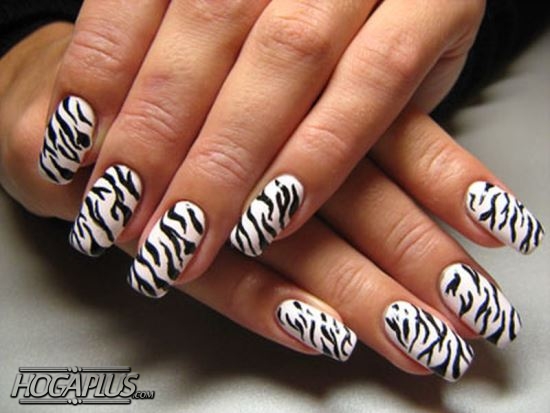 Zebra Nail Art Design Ideas